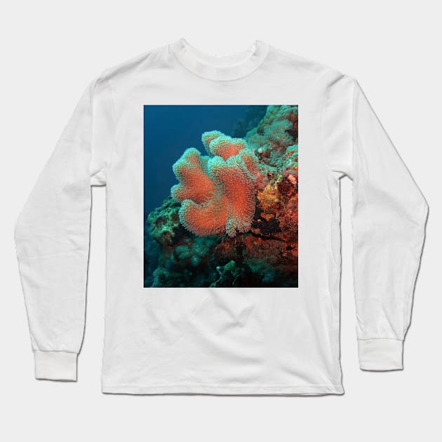 Red Sea Coral Reef Long Sleeve T-Shirt by likbatonboot